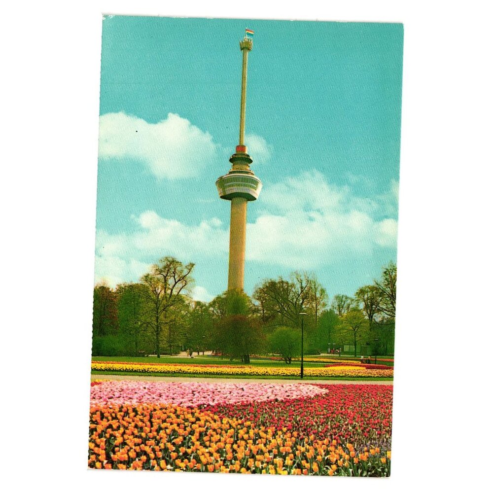 Vintage Rotterdam Euromast Space Tower Postcard Holland Tulip Fields Flower